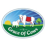 Grace Of Cows